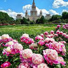 реклама на блоге moscownomoney реклама на блоге moscownomoney