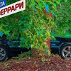реклама на блоге zheki444 реклама на блоге zheki444
