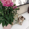 фото София Масленникова фото София Масленникова