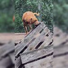 лучшие фото Дарья Пушкарева лучшие фото Дарья Пушкарева