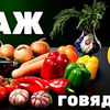 фото Ханкишиев Сталик фото Ханкишиев Сталик