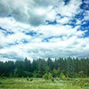 реклама в блоге Юлия Медведева реклама в блоге Юлия Медведева