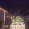 новое фото Дарья Пушкарева новое фото Дарья Пушкарева