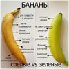 фото Катя Семибратова фото Катя Семибратова