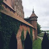 новое фото Ирина Марьясова новое фото Ирина Марьясова