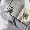 фотография Варя фотография Варя