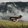 разместить рекламу в блоге Дарья Боронина разместить рекламу в блоге Дарья Боронина