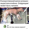 заказать рекламу у блоггера Марина Вовченко заказать рекламу у блоггера Марина Вовченко