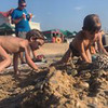 фото на странице Олеся Грибова фото на странице Олеся Грибова