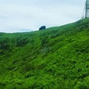 новое фото Елена / Лиса рулит Лисовская новое фото Елена / Лиса рулит Лисовская