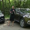 фото Елена / Лиса рулит Лисовская фото Елена / Лиса рулит Лисовская