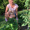 реклама в блоге Екатерина Весна реклама в блоге Екатерина Весна