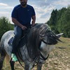 разместить рекламу в блоге Алексей Баранов разместить рекламу в блоге Алексей Баранов