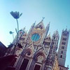 лучшие фото Ольга Мушинская лучшие фото Ольга Мушинская