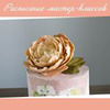 фотография Анита Art2cake фотография Анита Art2cake