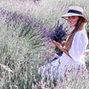 реклама в блоге Юля Юлина реклама в блоге Юля Юлина