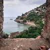 фото Алена Бардовская фото Алена Бардовская