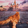 разместить рекламу в блоге Кристина Макеева разместить рекламу в блоге Кристина Макеева