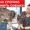 фото на странице Darvin Studio фото на странице Darvin Studio