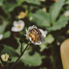 фотография Мария Крутова фотография Мария Крутова
