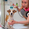 реклама у блогера ellidi_pets реклама у блогера ellidi_pets