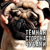 реклама у блоггера Глеб Корнилов реклама у блоггера Глеб Корнилов