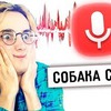 заказать рекламу у блоггера thedankar заказать рекламу у блоггера thedankar