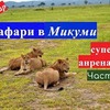 реклама на блоге Татьяна Субботина реклама на блоге Татьяна Субботина