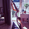 реклама у блоггера Александра Yoga_id_lab реклама у блоггера Александра Yoga_id_lab