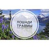 реклама у блоггера Саша Твердохлебова реклама у блоггера Саша Твердохлебова