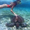 реклама на блоге Алиса Никитина реклама на блоге Алиса Никитина