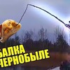 фотография vadimdab фотография vadimdab