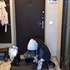фотография Натали Sychevskaya фотография Натали Sychevskaya