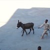 лучшие фото Сергей Доля лучшие фото Сергей Доля