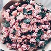 разместить рекламу в блоге Юлия Можаровская разместить рекламу в блоге Юлия Можаровская