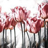 фотография София Фитмама фотография София Фитмама