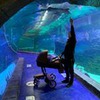 реклама на блоге Виктор Бурда реклама на блоге Виктор Бурда