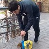 реклама у блоггера Адам Батыров реклама у блоггера Адам Батыров