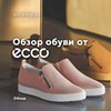 разместить рекламу в блоге Анна Московцева разместить рекламу в блоге Анна Московцева