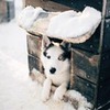 реклама в блоге Роман Коршунов реклама в блоге Роман Коршунов