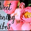фотография tuliplander фотография tuliplander