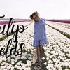фото на странице tuliplander фото на странице tuliplander