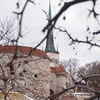 реклама в блоге Юра Ухорский реклама в блоге Юра Ухорский
