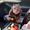 реклама в блоге Роман Демченко реклама в блоге Роман Демченко