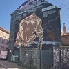 фотография Арина Костикова фотография Арина Костикова