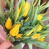 реклама на блоге Маша Герас реклама на блоге Маша Герас