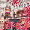 фотография Алина фотография Алина