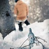 новое фото Павел Швай новое фото Павел Швай