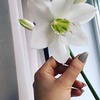 фото Наргиза Ильина фото Наргиза Ильина