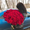 фото на странице Ирина Асташова фото на странице Ирина Асташова
